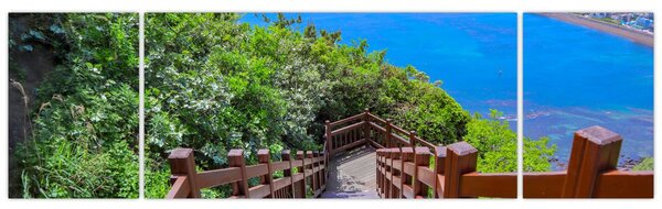 Obraz - Panorama (170x50 cm)