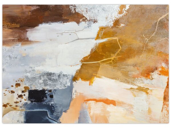 Obraz - Abstrakce (70x50 cm)