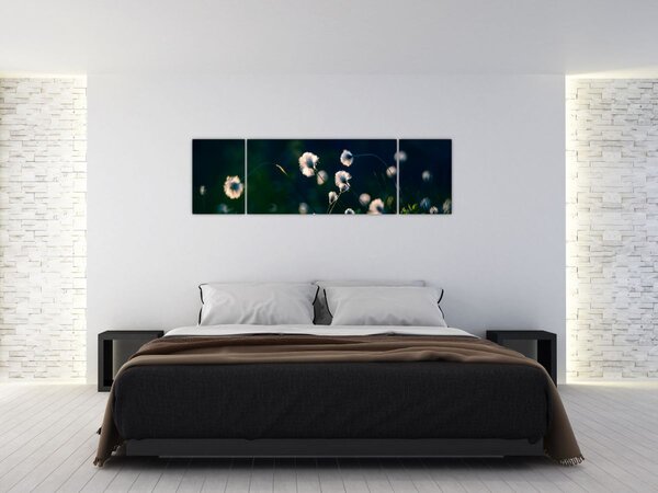 Obraz - Tráva (170x50 cm)
