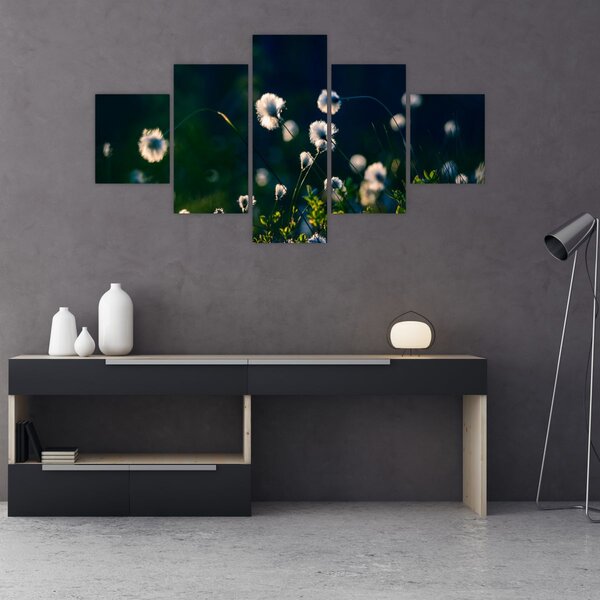 Obraz - Tráva (125x70 cm)
