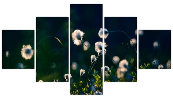 Obraz - Tráva (125x70 cm)
