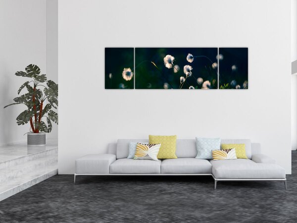 Obraz - Tráva (170x50 cm)