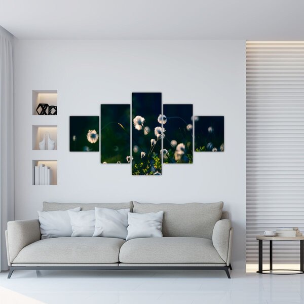 Obraz - Tráva (125x70 cm)