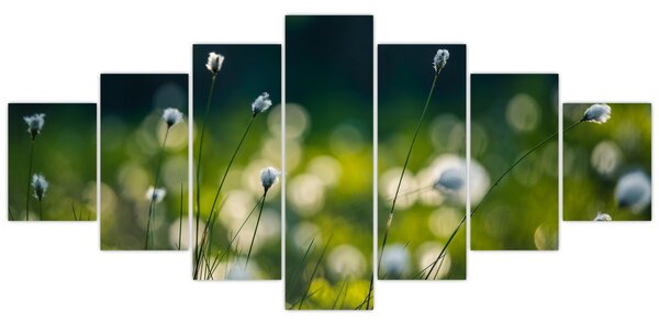 Obraz - Tráva (210x100 cm)