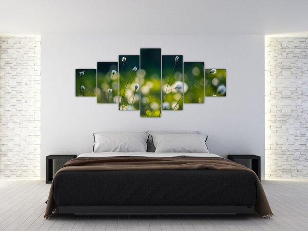 Obraz - Tráva (210x100 cm)