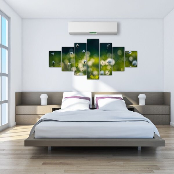 Obraz - Tráva (210x100 cm)