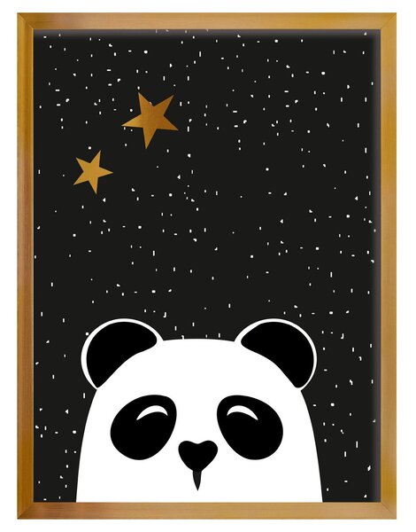 Obrázek Funny Band panda 30x40 cm