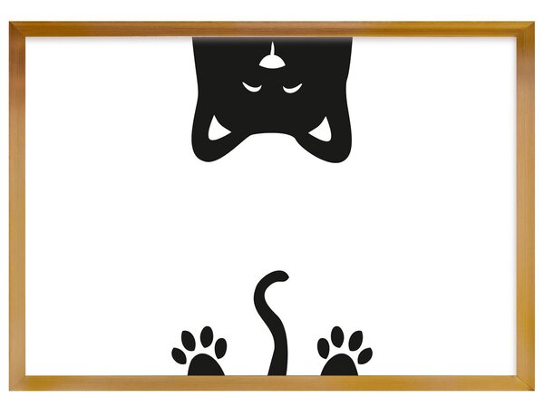 Obrázek Funny Band cat 21x30 cm