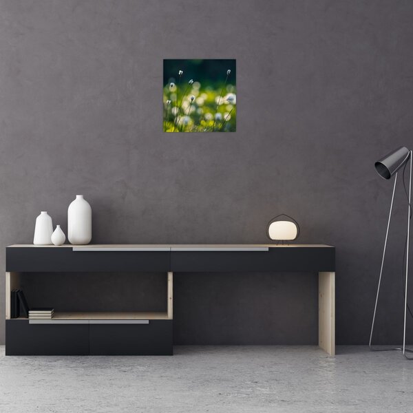 Obraz - Tráva (30x30 cm)