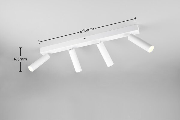 Trio T849210431 LED bodové stropní svítidlo AMBALA integrovaný LED zdroj | 4x500lm | 2300+3000+4000K