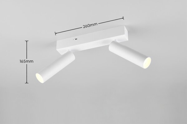 Trio T849210231 LED bodové stropní svítidlo AMBALA integrovaný LED zdroj | 2x500lm | 2300+3000+4000K