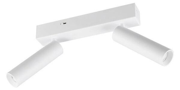 Trio T849210231 LED bodové stropní svítidlo AMBALA integrovaný LED zdroj | 2x500lm | 2300+3000+4000K