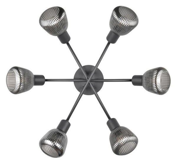 Trio T662800632 přisazené stropní svítidlo TARIFA E14