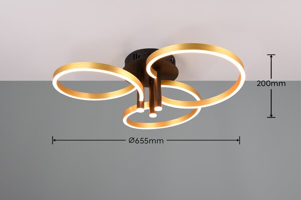 Trio T648110680 LED přisazené stropní svítidlo CARUSO | 43W integrovaný LED zdroj | 4980lm | 2300+3000+4000K