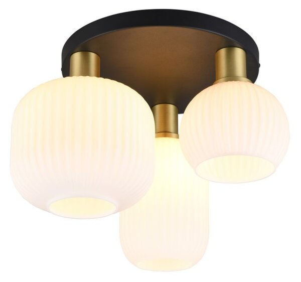 Trio T619800308 přisazené stropní svítidlo DIVA E27