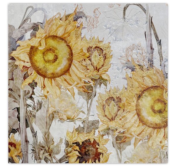 Obraz - Slunečnice ve zdi (30x30 cm)