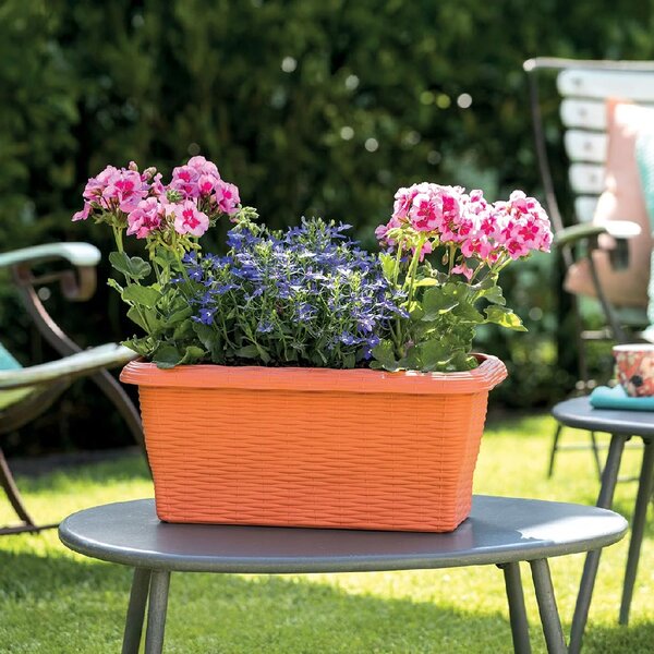 BAMA PAGLIA 40 cm, v barvě terracotty, plastový truhlík