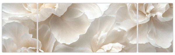 Obraz - Jemné pivoňky (170x50 cm)