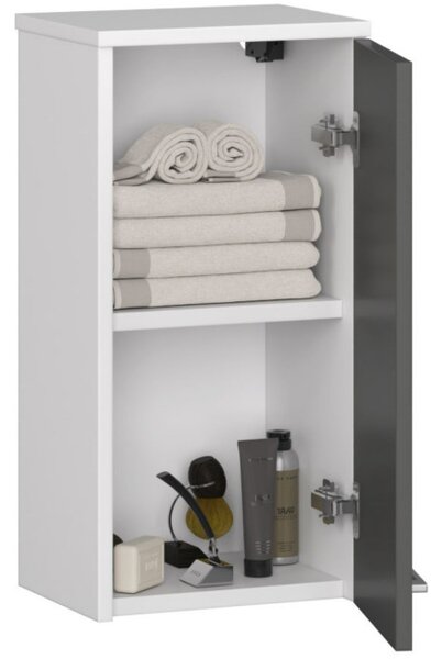 Koupelnová skříňka FIN W 30 cm 1D bílá/šedá
