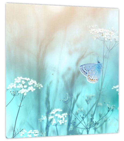 Obraz - Motýlek v modrém (30x30 cm)
