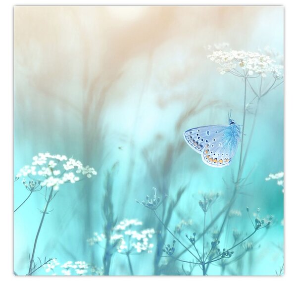 Obraz - Motýlek v modrém (30x30 cm)