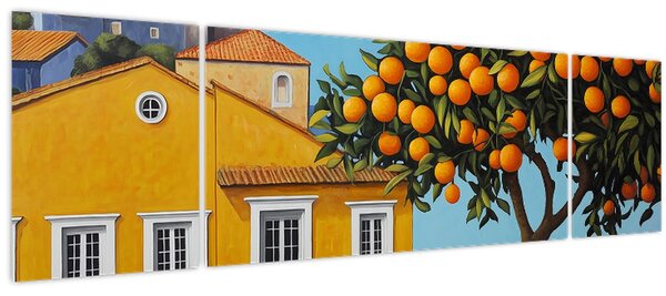 Obraz - Pomerančovník (170x50 cm)