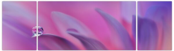 Obraz - Kapka na květu (170x50 cm)