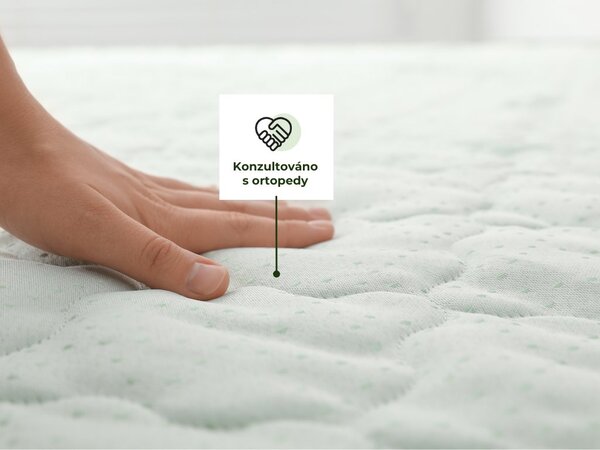 Taštičková matrace ERGONOMY PLUS s kokosovými vlákny 90x200 cm