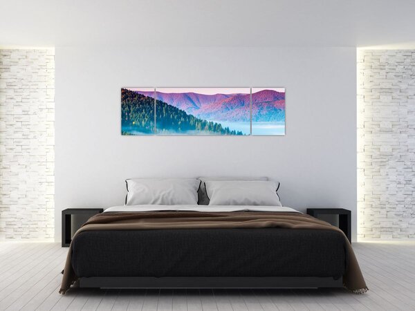 Obraz - Panorama 2 (170x50 cm)