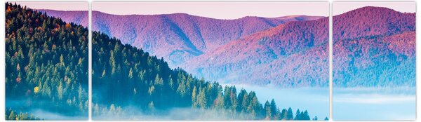 Obraz - Panorama 2 (170x50 cm)