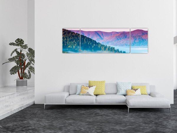 Obraz - Panorama 2 (170x50 cm)