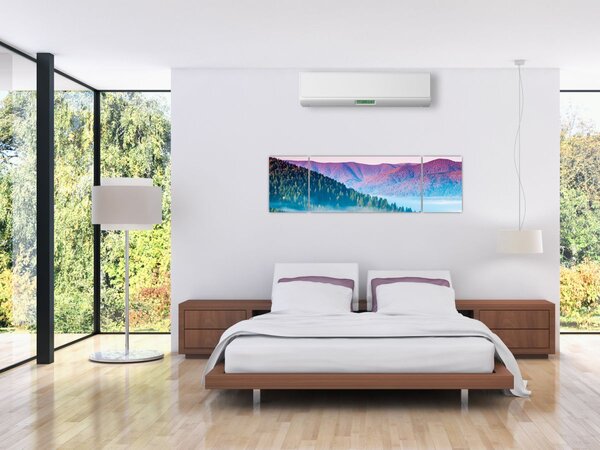 Obraz - Panorama 2 (170x50 cm)