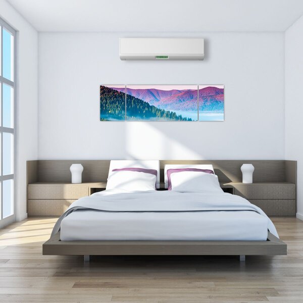 Obraz - Panorama 2 (170x50 cm)
