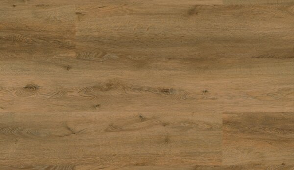 Lepená vinylová podlaha Authentic Oak 0,55 - 1040 Dub Císařský - 228,6×1219,2 mm