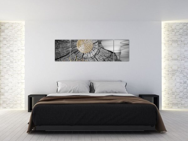 Obraz - Kmen stromu v koláži (170x50 cm)