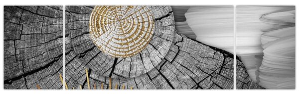 Obraz - Kmen stromu v koláži (170x50 cm)