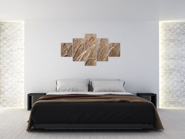 Obraz - Zlaté pole (125x70 cm)