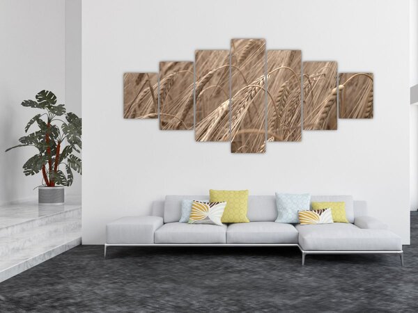 Obraz - Zlaté pole (210x100 cm)