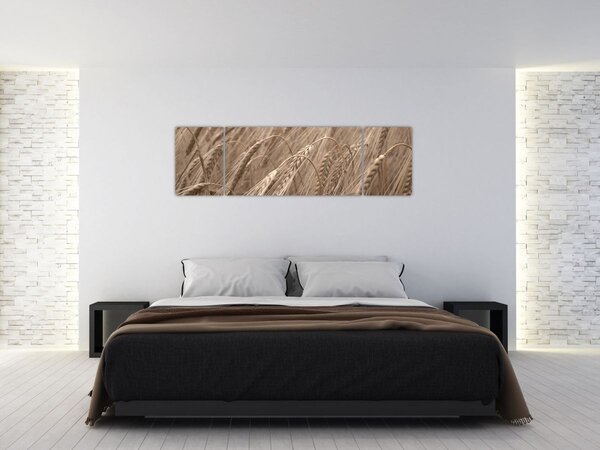 Obraz - Zlaté pole (170x50 cm)