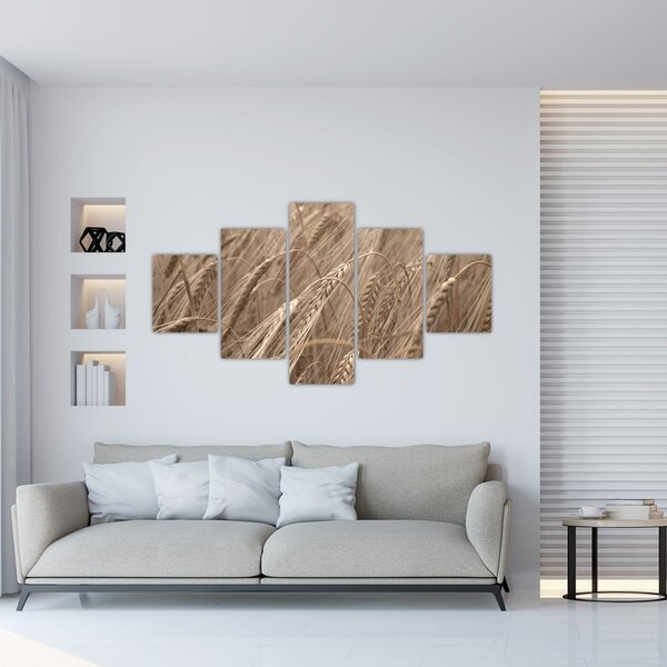 Obraz - Zlaté pole (125x70 cm)