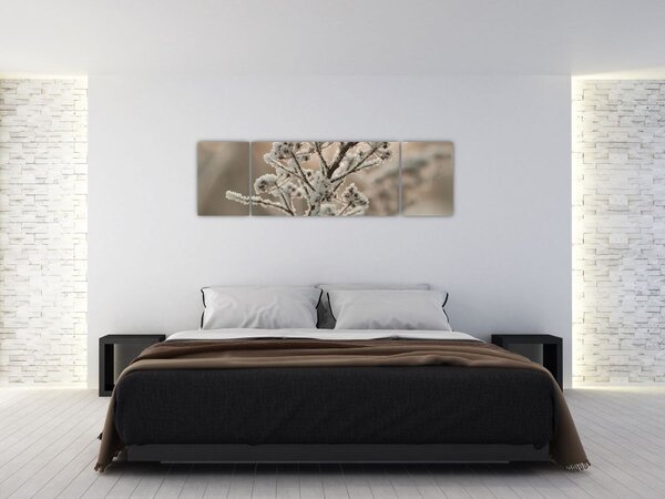 Obraz - Rostlina v mrazu (170x50 cm)