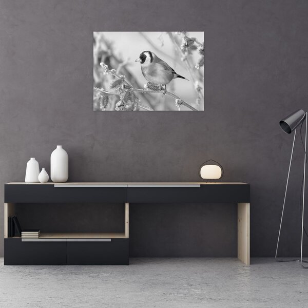 Obraz - Ptáček v zimě (70x50 cm)