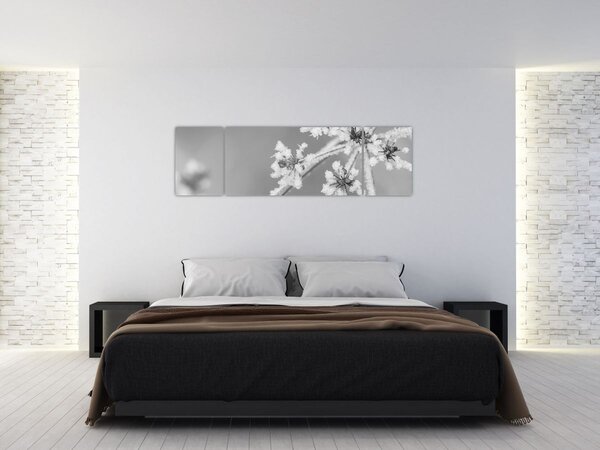 Obraz - Zmrzlá rostlina (170x50 cm)