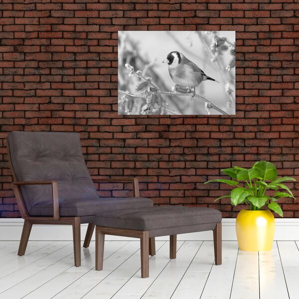 Obraz - Ptáček v zimě (70x50 cm)
