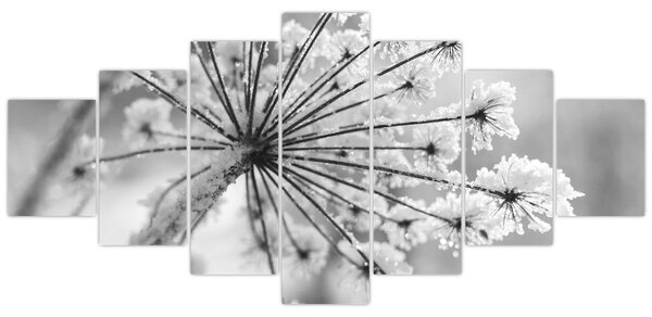 Obraz - Květina v zimě (210x100 cm)