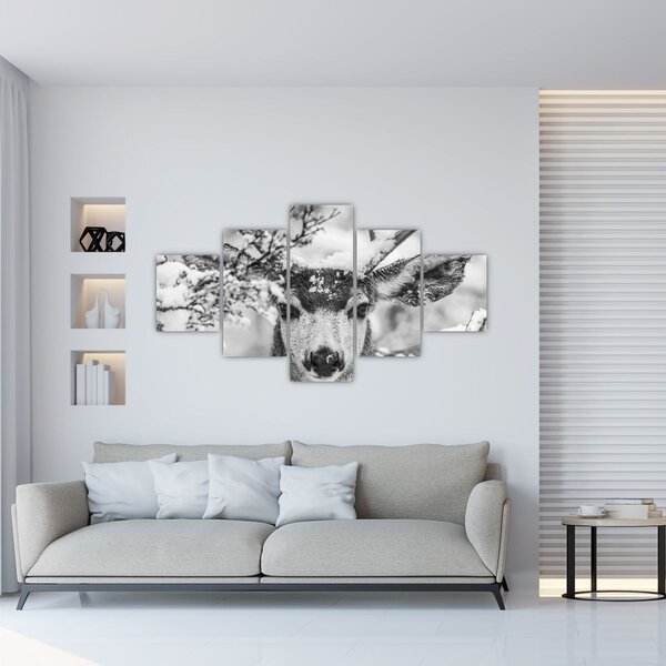Obraz - Jelen v zimě (125x70 cm)