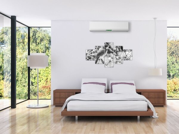 Obraz - Modrý pták v zimě (125x70 cm)
