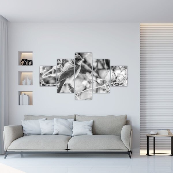 Obraz - Modrý pták v zimě (125x70 cm)