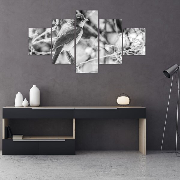 Obraz - Modrý pták v zimě (125x70 cm)