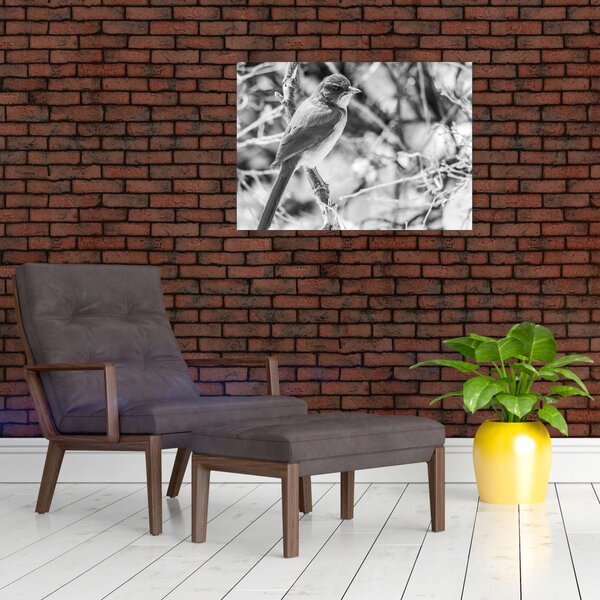 Obraz - Modrý pták v zimě (70x50 cm)